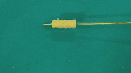 1736744351762718.gif